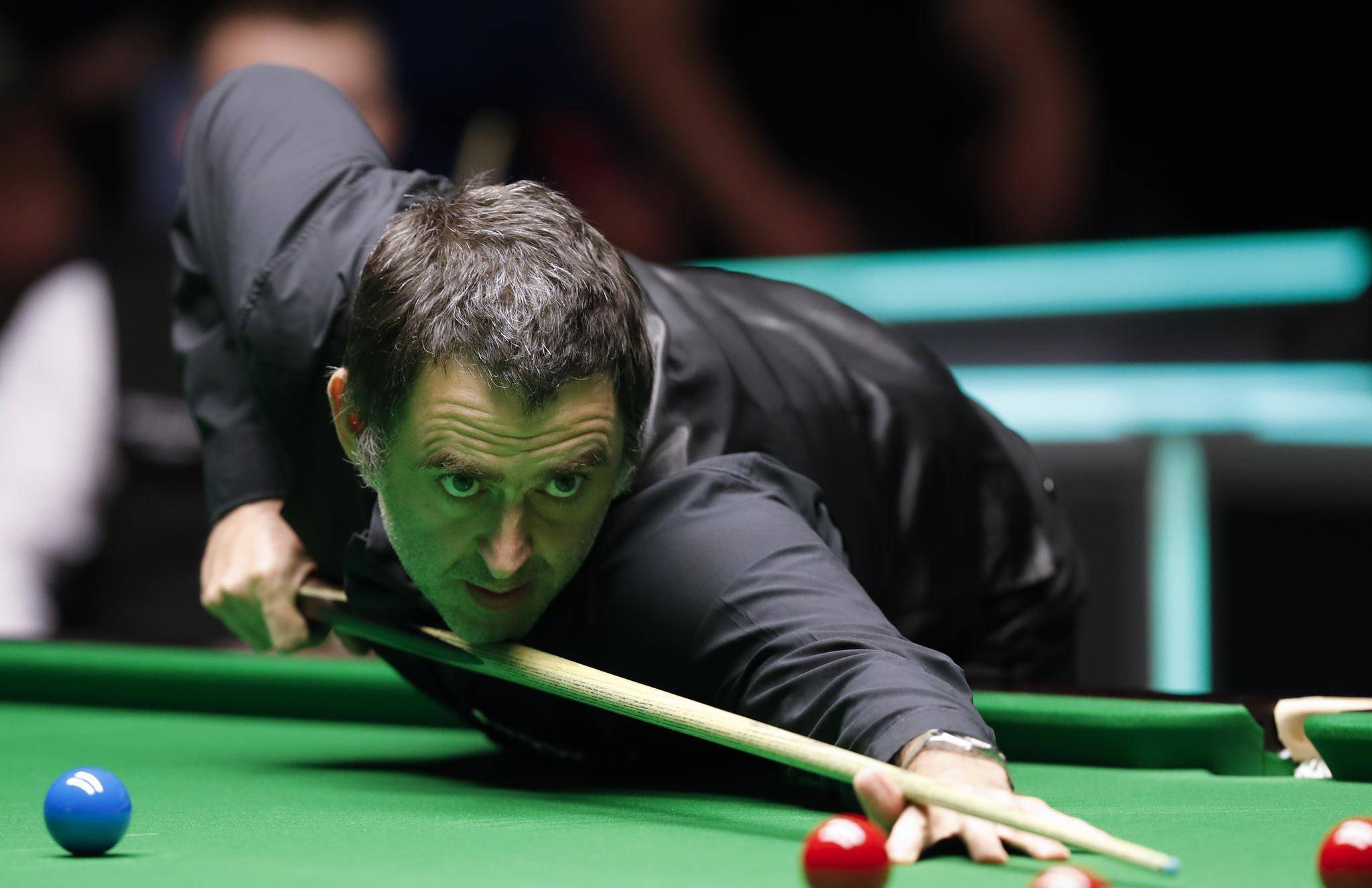 例如巴西足 例如巴西足